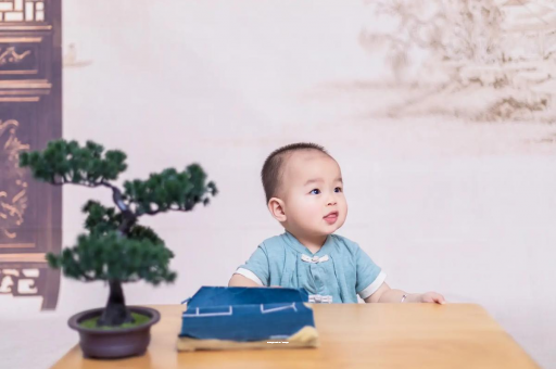 温岭八个月宝宝零食 温岭八个月宝宝零食